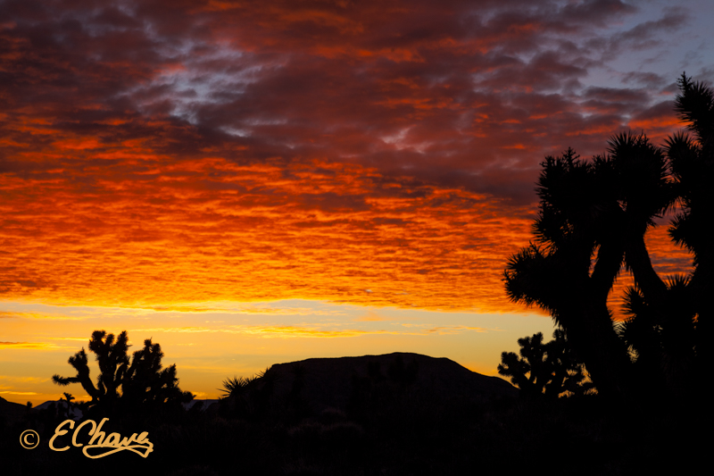 How to Create a Photo Silhouette